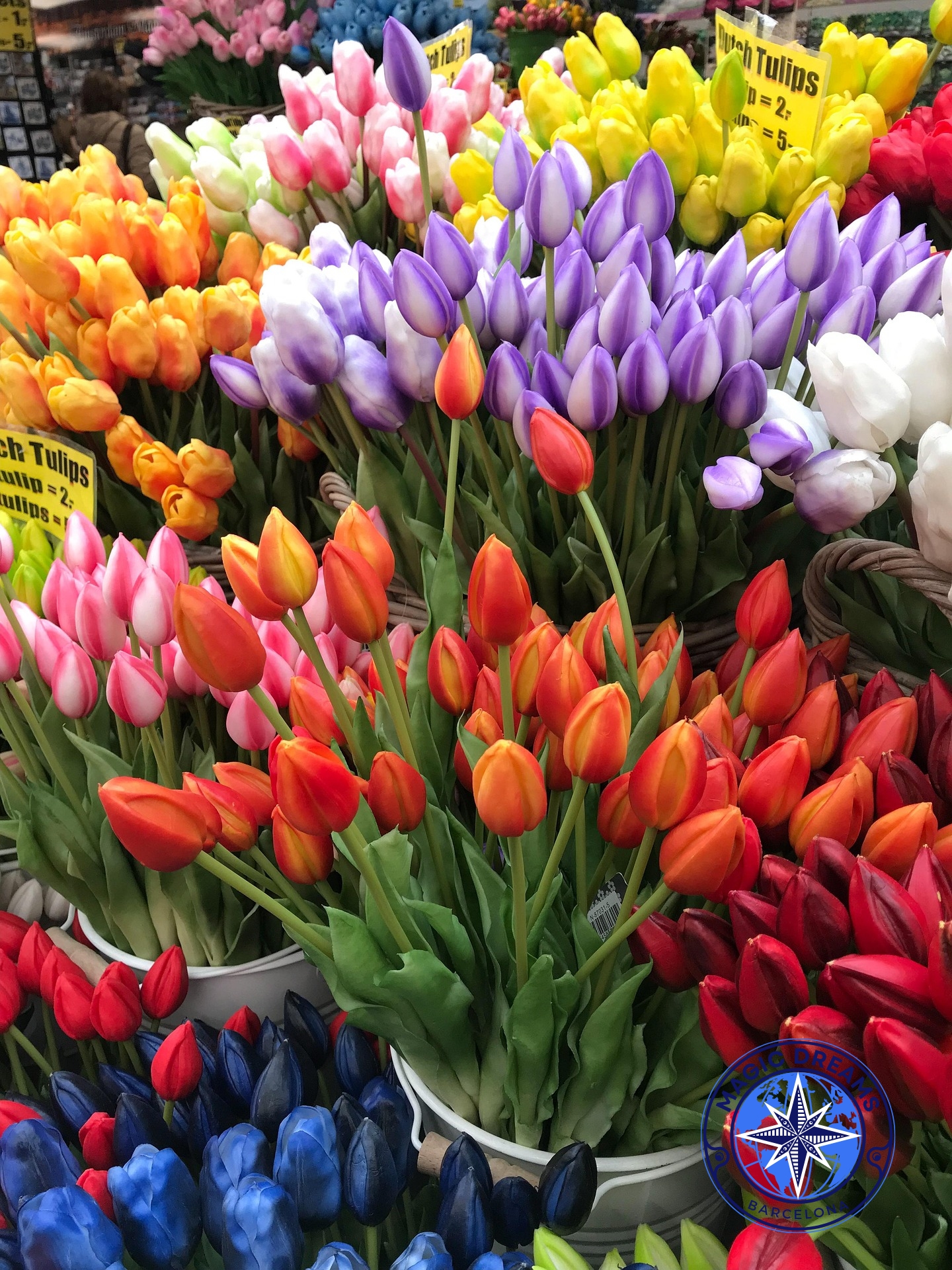 Tulipanes Magic Dreams Barcelona.