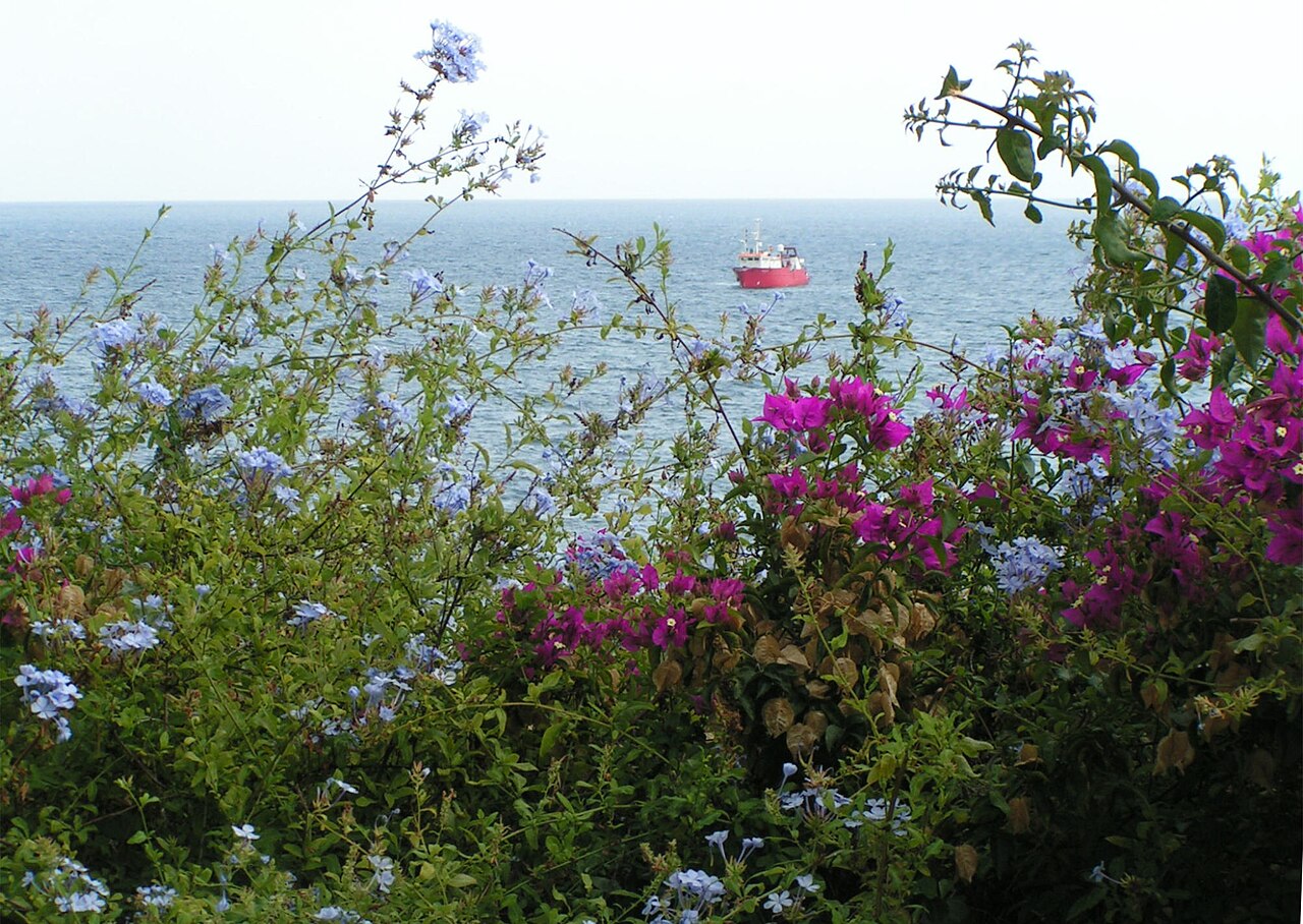 Vista desde el Jardín Botánico (Jardi Botànic Marimurtra) Blanes al Mar Mediterráneo - By Corradox - Own work, CC BY-SA 3.0, https://commons.wikimedia.org/w/index.php?curid=7351159.