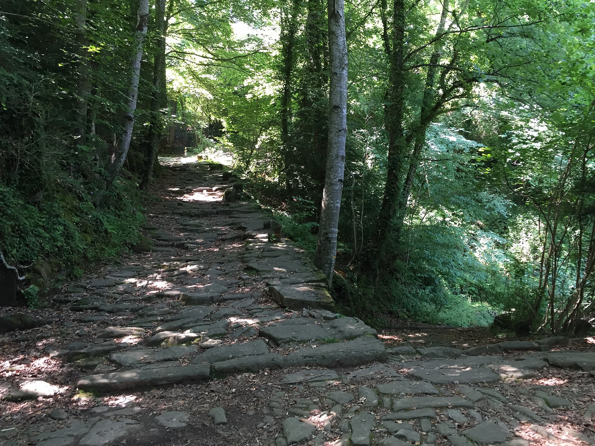 Bosque de Rupit i Pruit - By Yliana S.P., CC BY-SA 3.0, https://commons.wikimedia.org/w/index.php?curid=59077484.