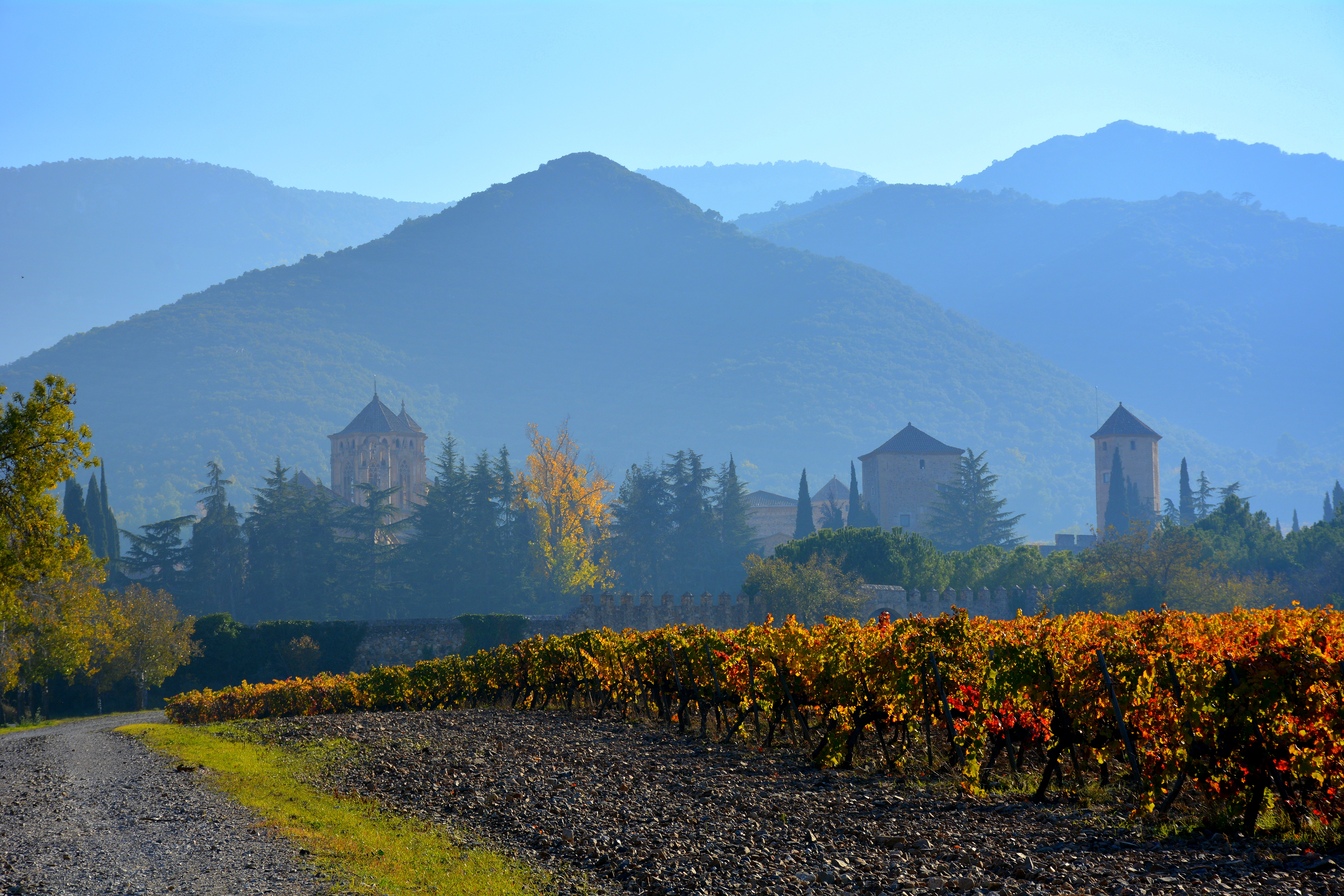 Monasterio, otoño, viñas, cisterna - By Angela Llop - https://www.flickr.com/photos/angela_llop/26730740849/, CC BY-SA 2.0, https://commons.wikimedia.org/w/index.php?curid=91000669.