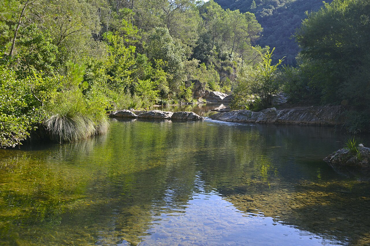 Gorgas de rio Muga - Alberto-g-rovi, CC BY 4.0 , via Wikimedia Commons.