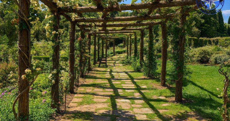 Parque de Cervantes: Un Oasis Botánico en el Corazón de Pedralbes.