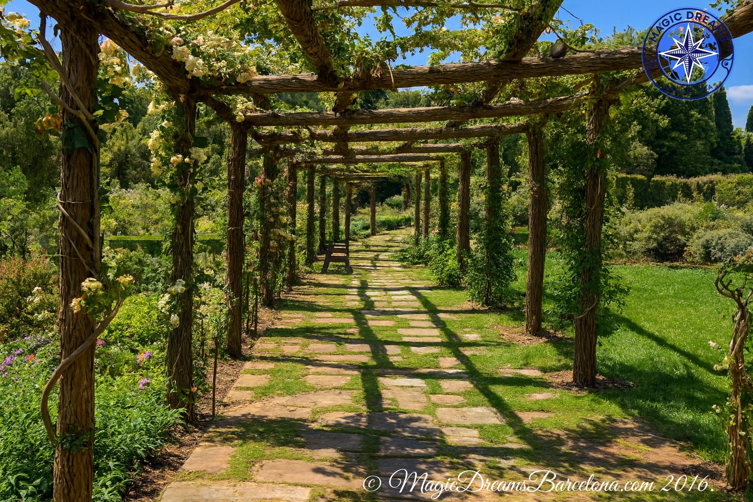 Parque de Cervantes: Un Oasis Botánico en el Corazón de Pedralbes.