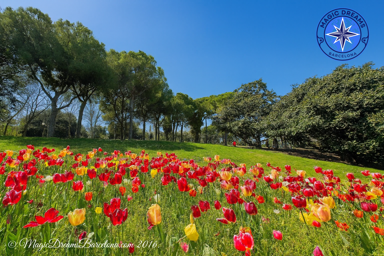 Jardines de Mossèn Cinto Verdaguer.