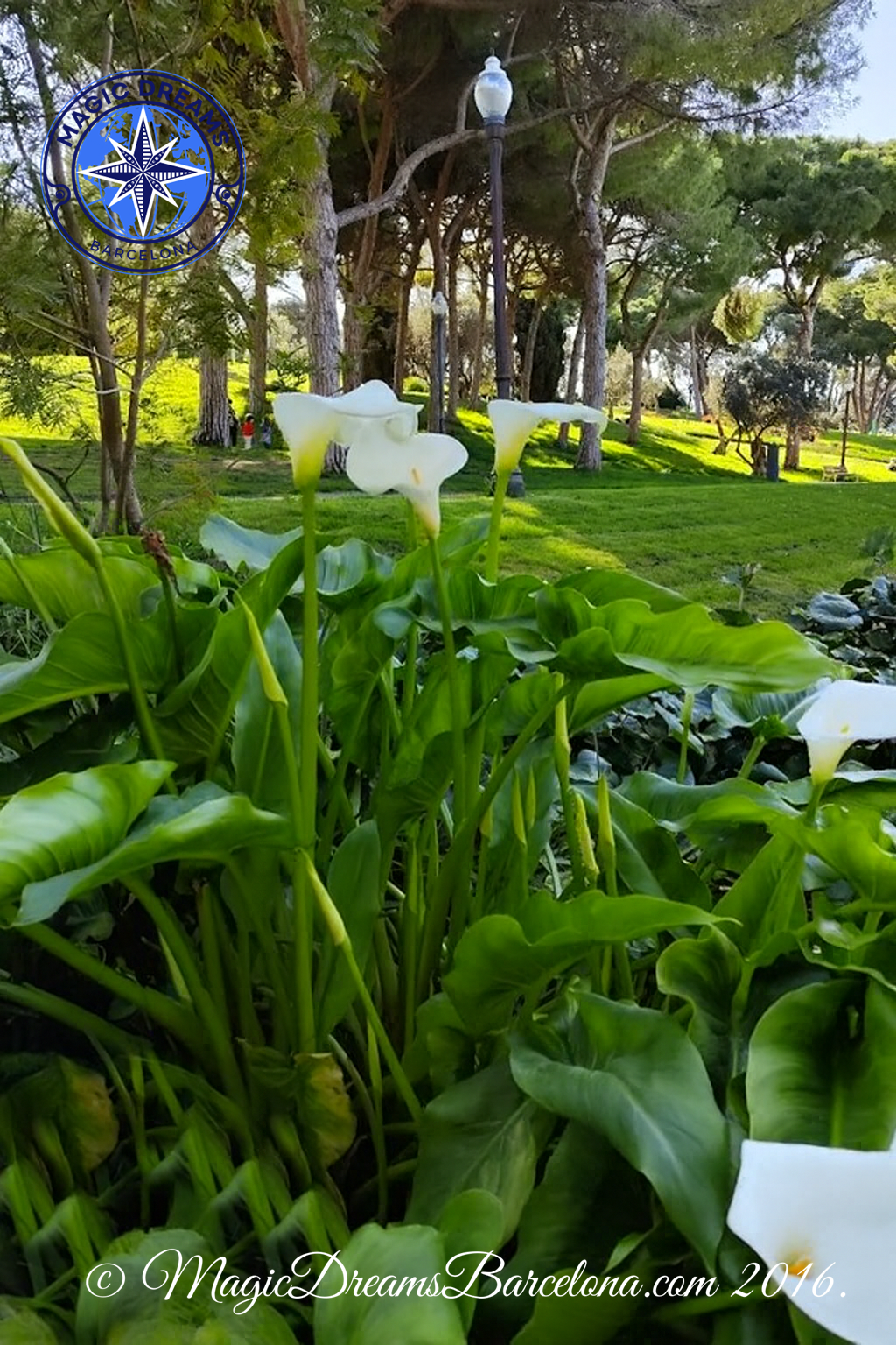 Jardines de Mossèn Cinto Verdaguer.