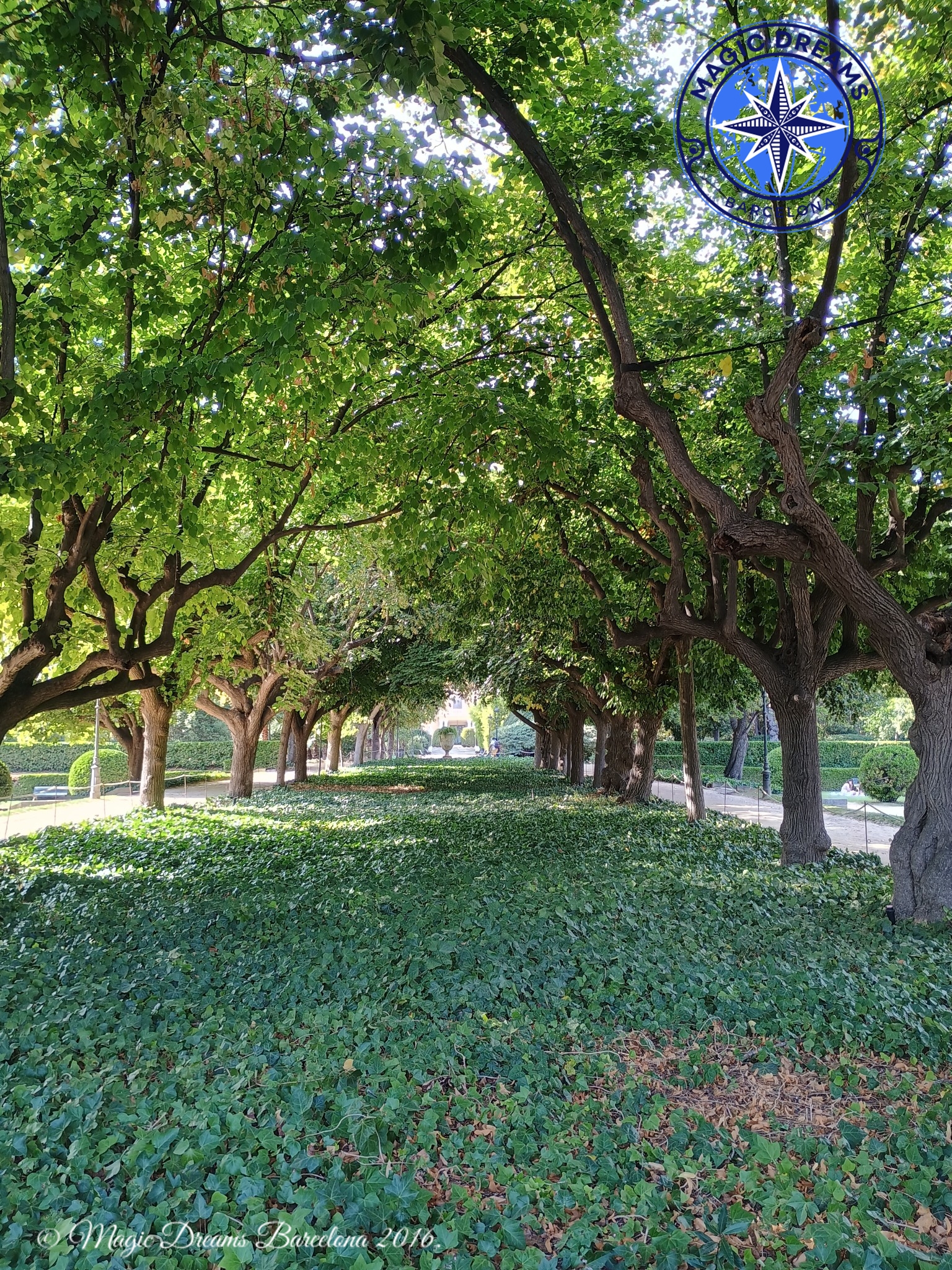 Jardines del Palacio Real de Pedralbes.
