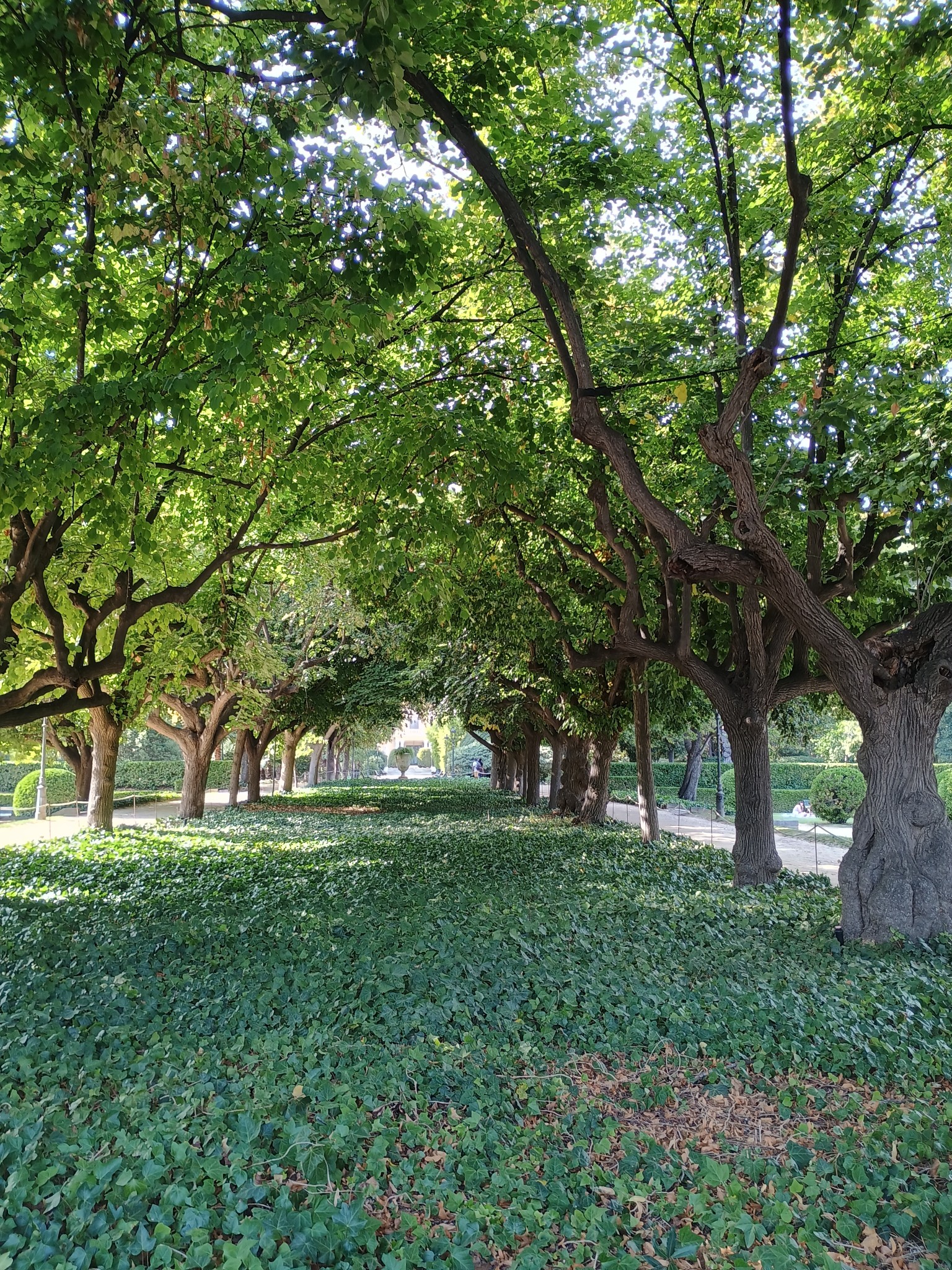 Jardines del Palacio Real de Pedralbes.